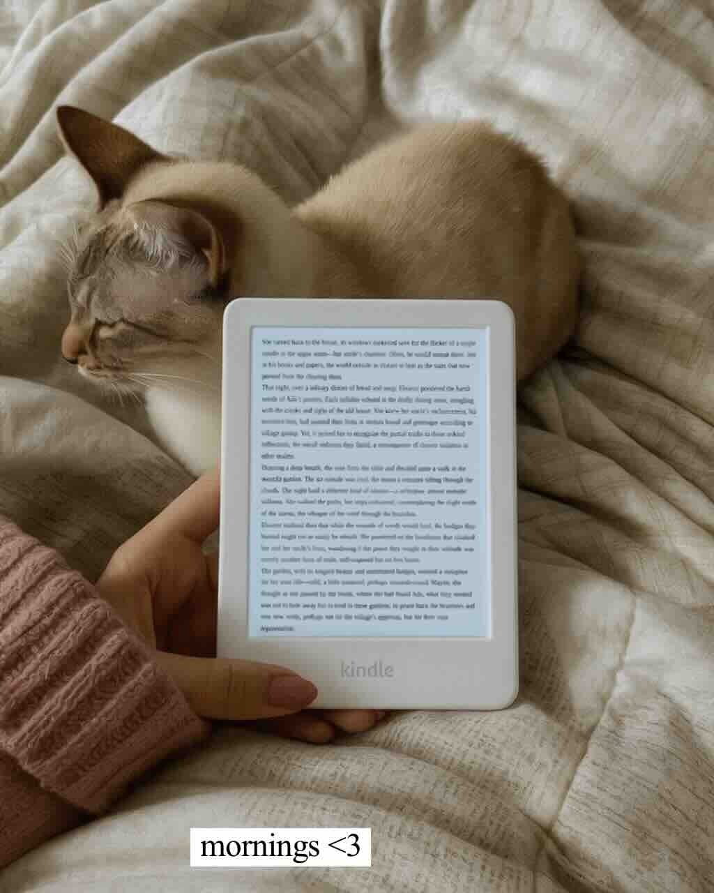 Reader with custom book